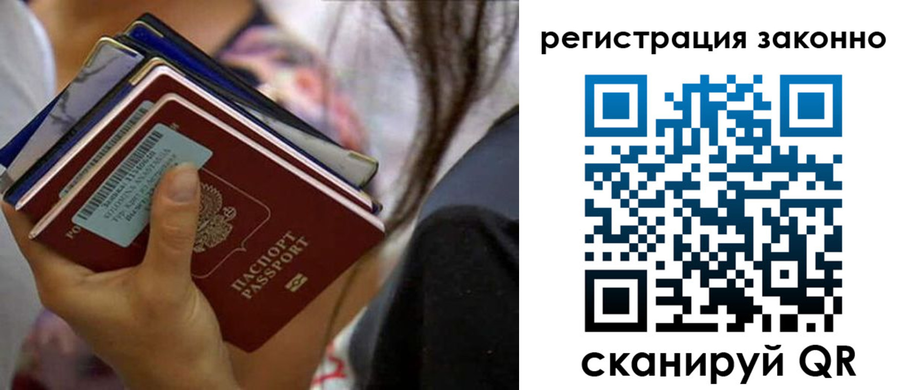 прописка в Кингисеппе